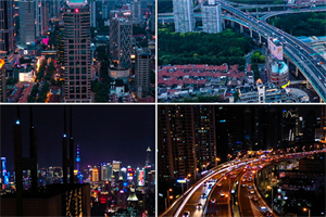 上海农产品价格波动因素分析